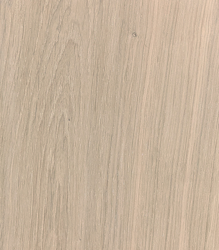 color-creamy-delight
