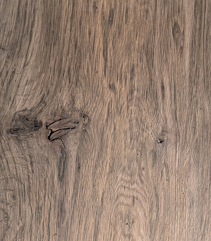 color-bog-oak